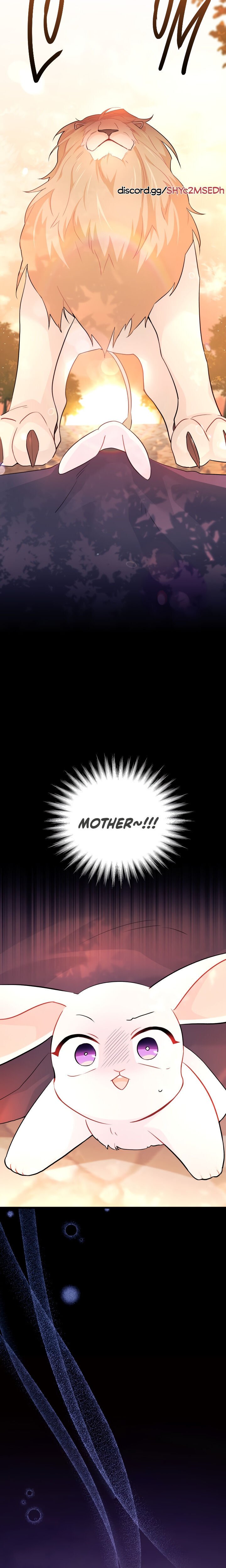 A Symbiotic Relationship Between A Rabbit And A Black Panther chapter 33 page 20