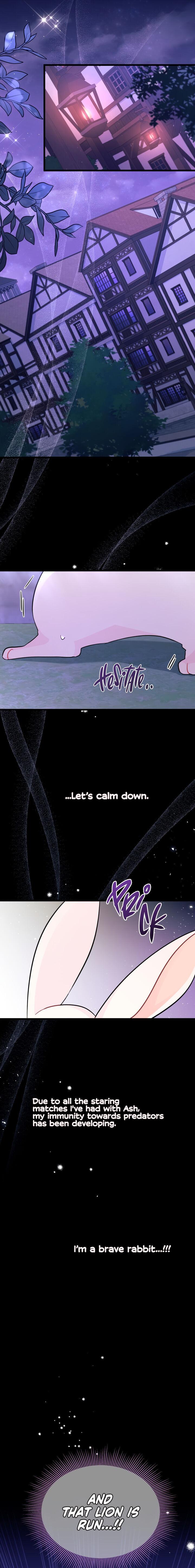 A Symbiotic Relationship Between A Rabbit And A Black Panther chapter 34 page 12