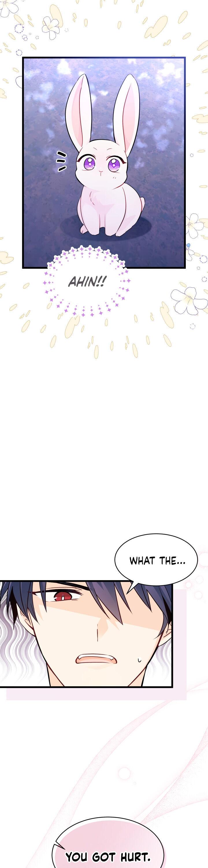 A Symbiotic Relationship Between A Rabbit And A Black Panther chapter 34 page 19