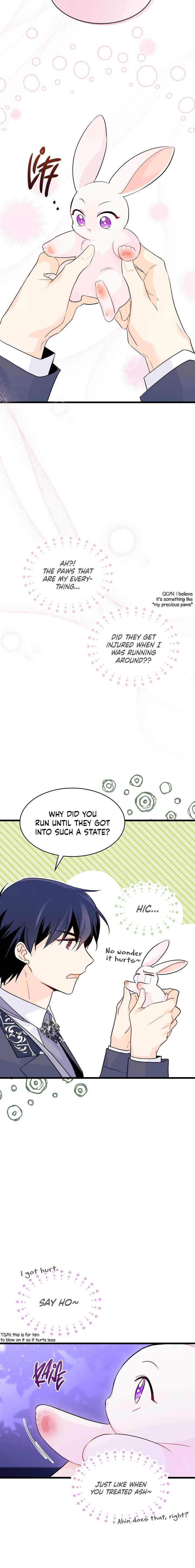 A Symbiotic Relationship Between A Rabbit And A Black Panther chapter 34 page 20