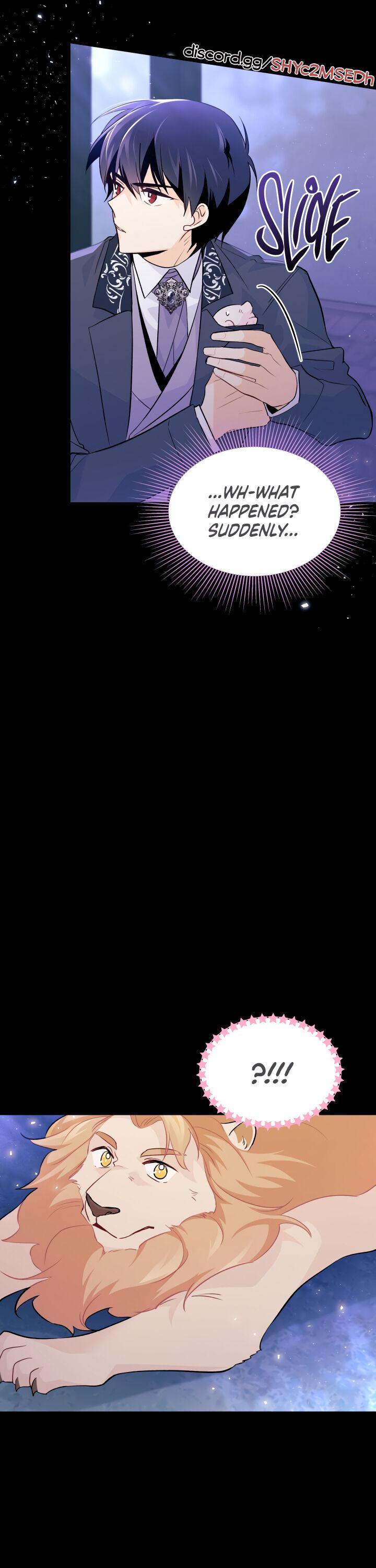 A Symbiotic Relationship Between A Rabbit And A Black Panther chapter 34 page 25