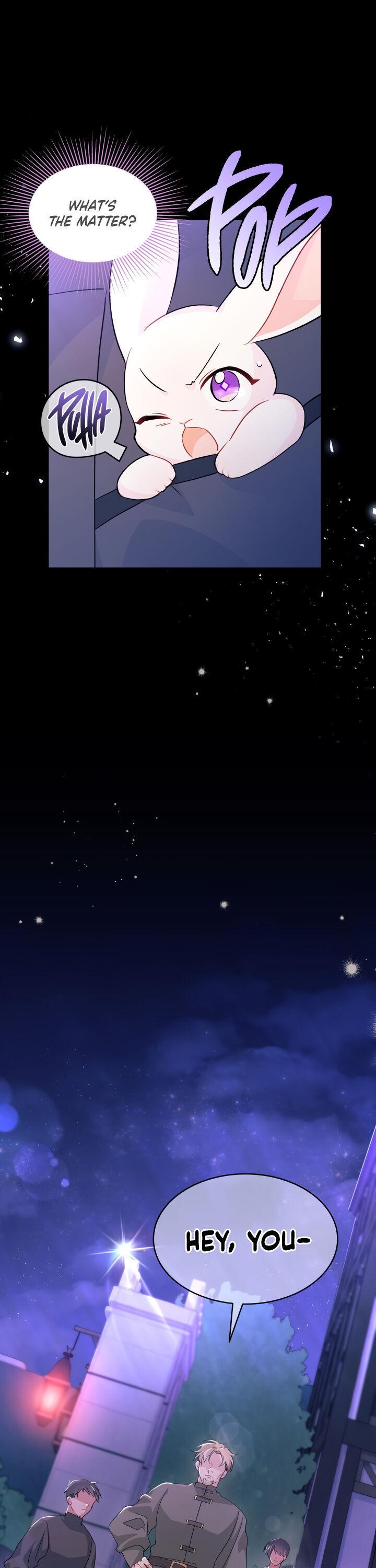 A Symbiotic Relationship Between A Rabbit And A Black Panther chapter 34 page 26