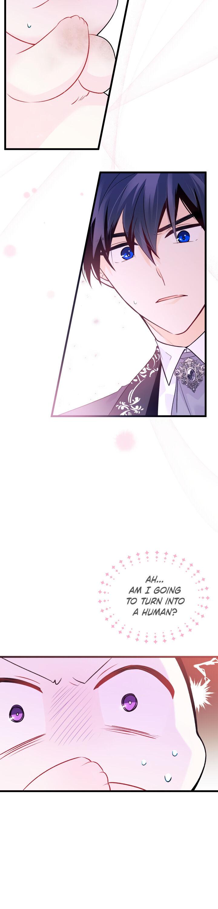 A Symbiotic Relationship Between A Rabbit And A Black Panther chapter 35.7 page 24