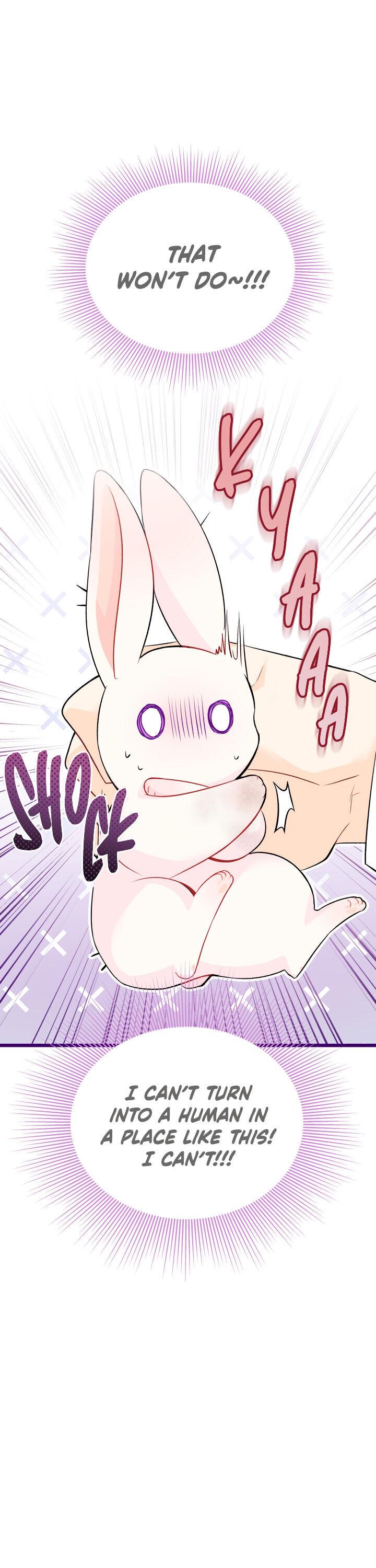 A Symbiotic Relationship Between A Rabbit And A Black Panther chapter 35.7 page 25