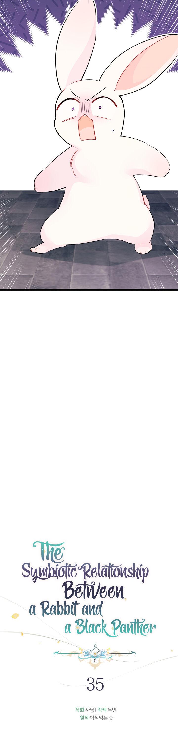 A Symbiotic Relationship Between A Rabbit And A Black Panther chapter 35.7 page 7