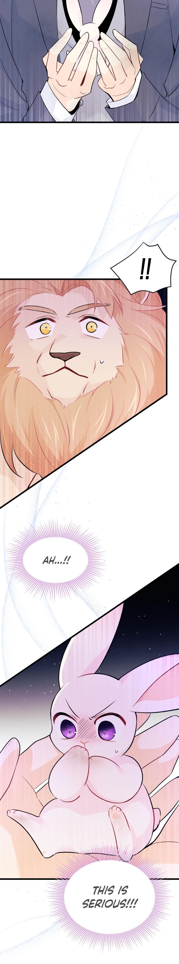 A Symbiotic Relationship Between A Rabbit And A Black Panther chapter 35 page 20