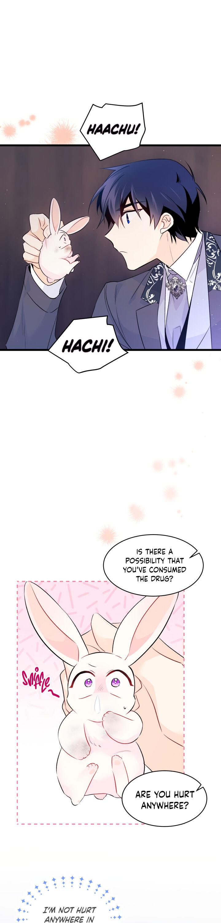 A Symbiotic Relationship Between A Rabbit And A Black Panther chapter 35 page 21