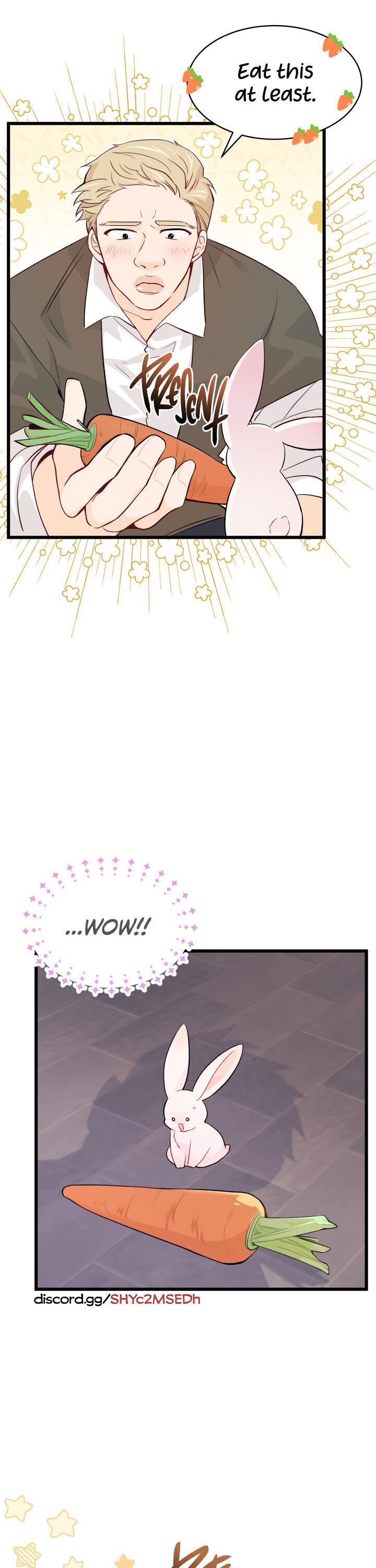 A Symbiotic Relationship Between A Rabbit And A Black Panther chapter 35 page 3