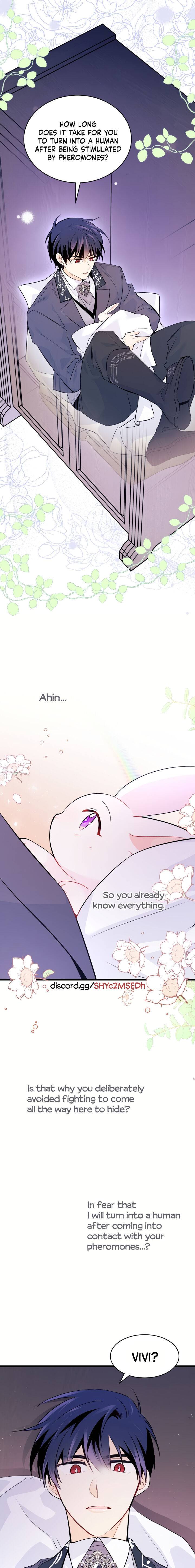 A Symbiotic Relationship Between A Rabbit And A Black Panther chapter 36 page 17