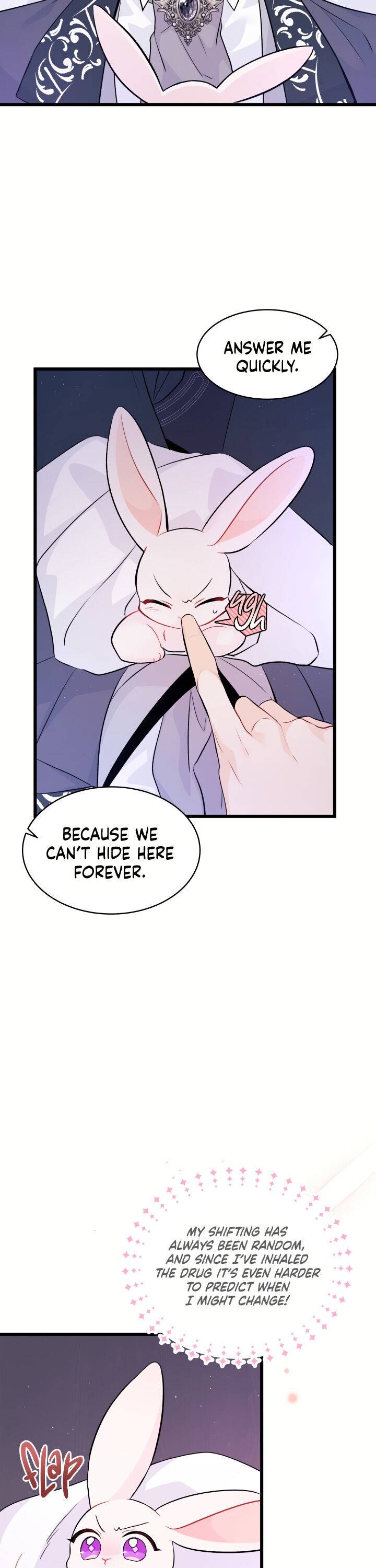 A Symbiotic Relationship Between A Rabbit And A Black Panther chapter 36 page 18