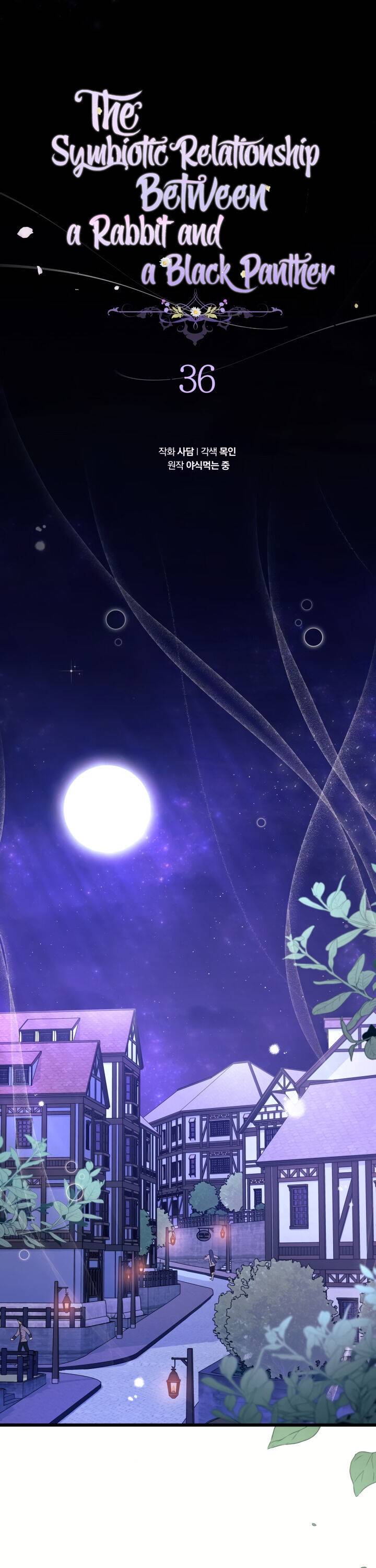 A Symbiotic Relationship Between A Rabbit And A Black Panther chapter 36 page 3