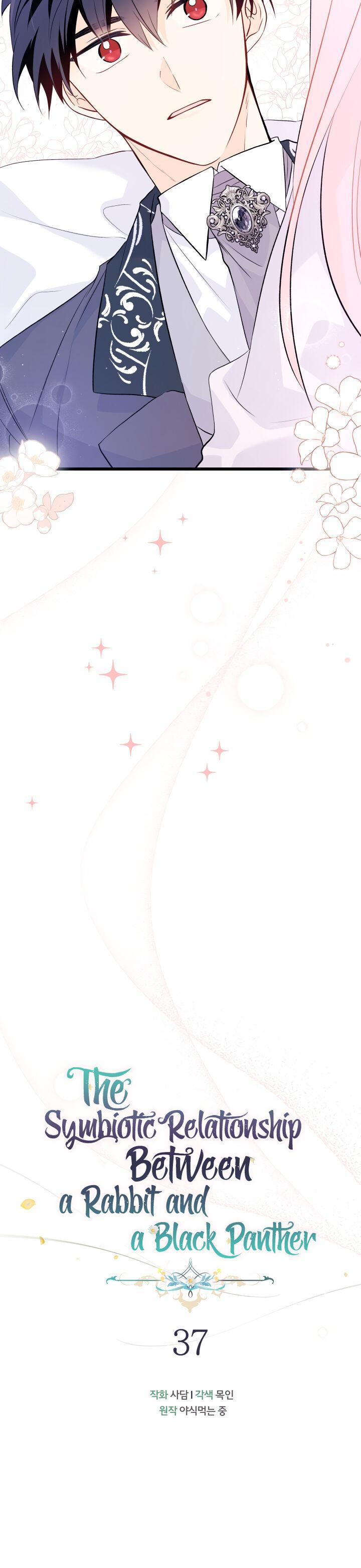 A Symbiotic Relationship Between A Rabbit And A Black Panther chapter 37 page 3