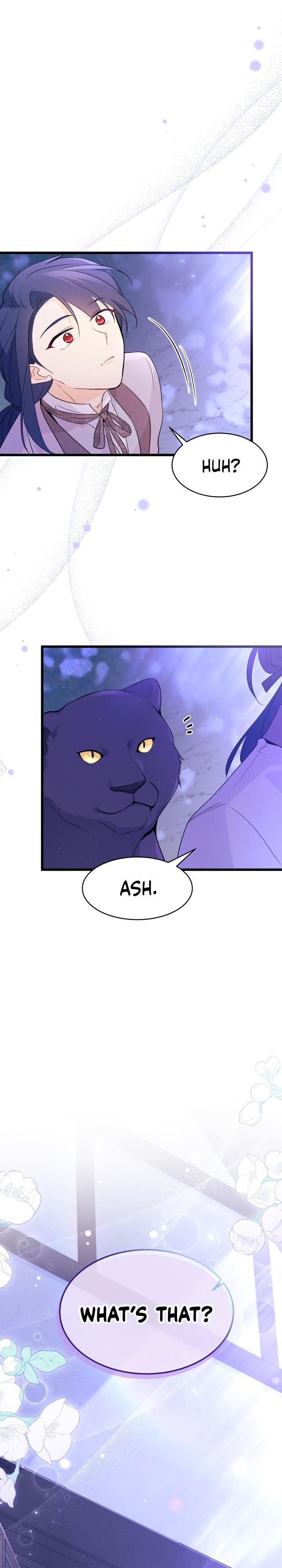 A Symbiotic Relationship Between A Rabbit And A Black Panther chapter 37 page 33