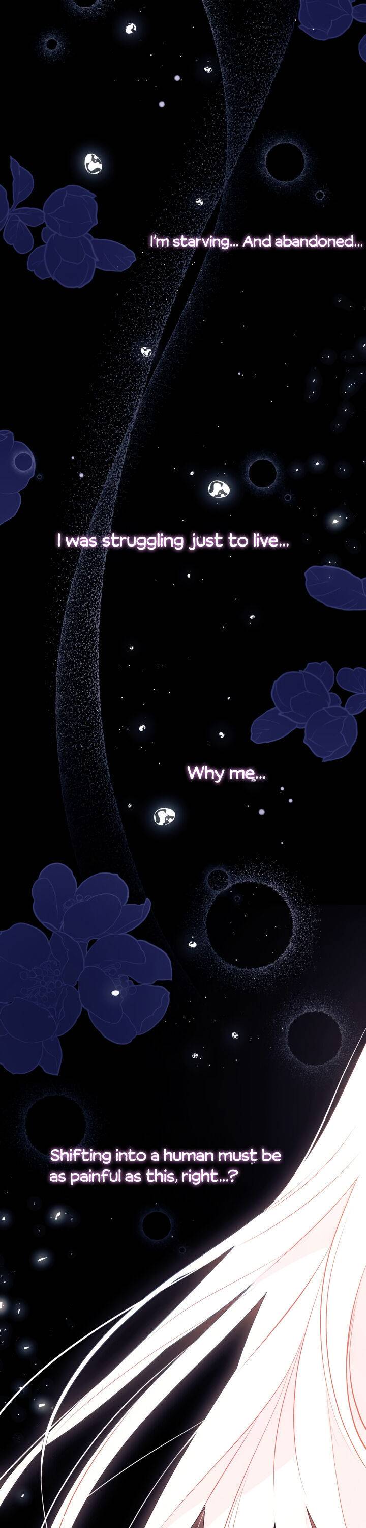 A Symbiotic Relationship Between A Rabbit And A Black Panther chapter 39 page 10