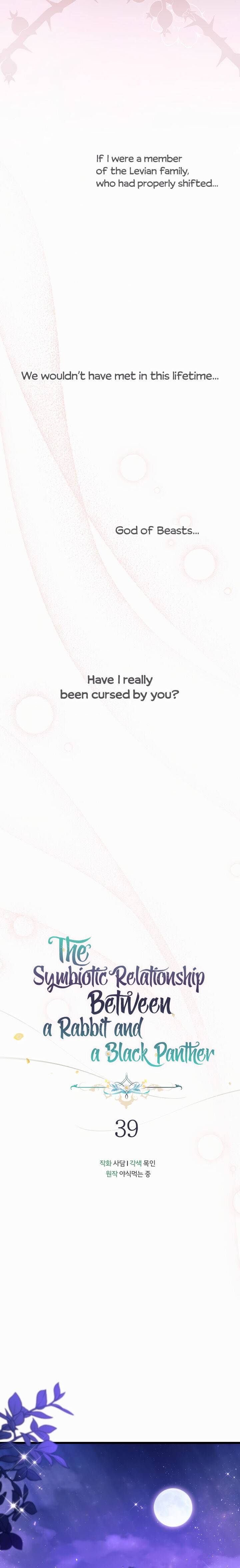 A Symbiotic Relationship Between A Rabbit And A Black Panther chapter 39 page 18