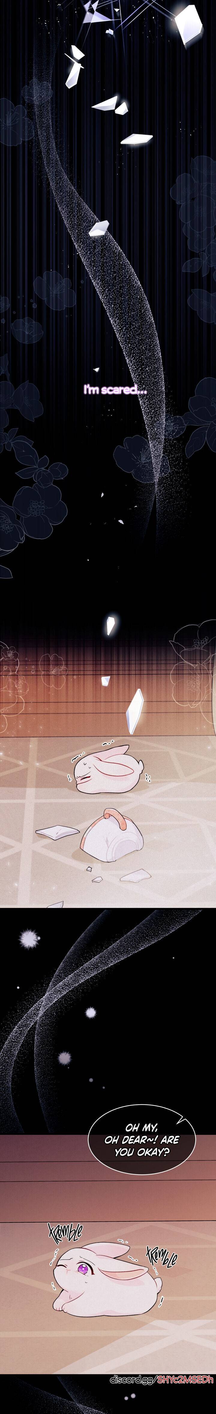 A Symbiotic Relationship Between A Rabbit And A Black Panther chapter 39 page 4