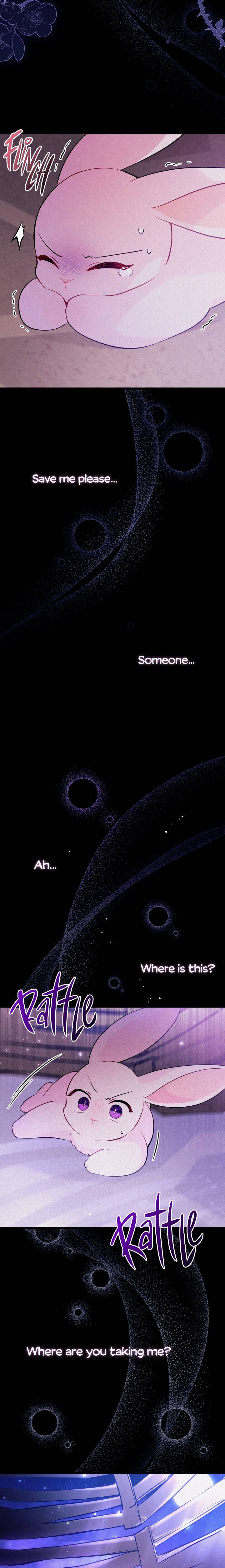 A Symbiotic Relationship Between A Rabbit And A Black Panther chapter 39 page 7