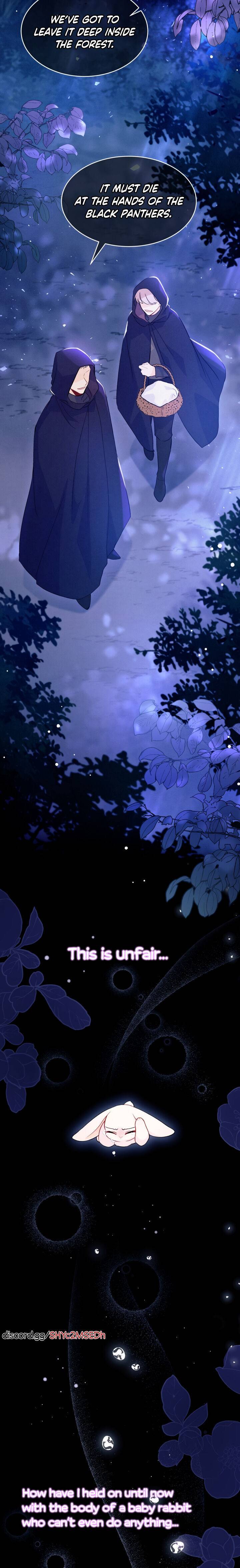 A Symbiotic Relationship Between A Rabbit And A Black Panther chapter 39 page 9