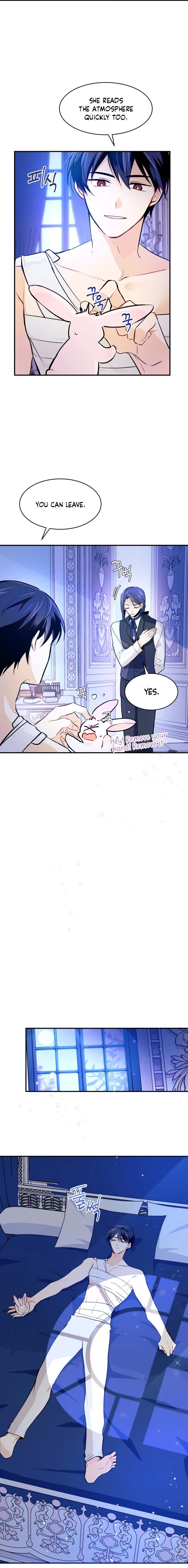 A Symbiotic Relationship Between A Rabbit And A Black Panther chapter 4 page 12