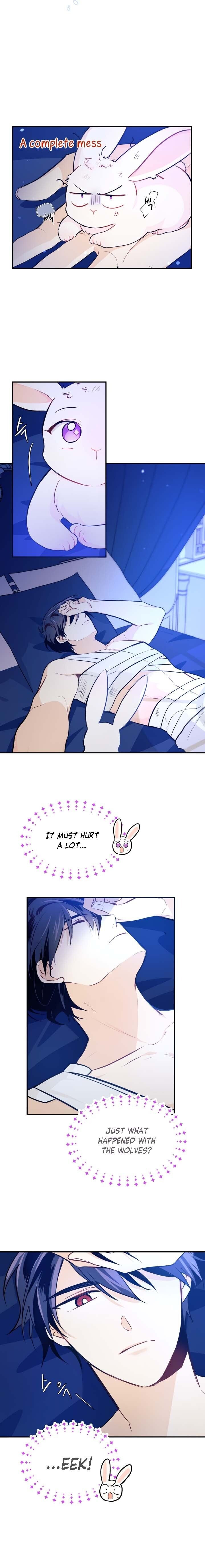 A Symbiotic Relationship Between A Rabbit And A Black Panther chapter 4 page 13