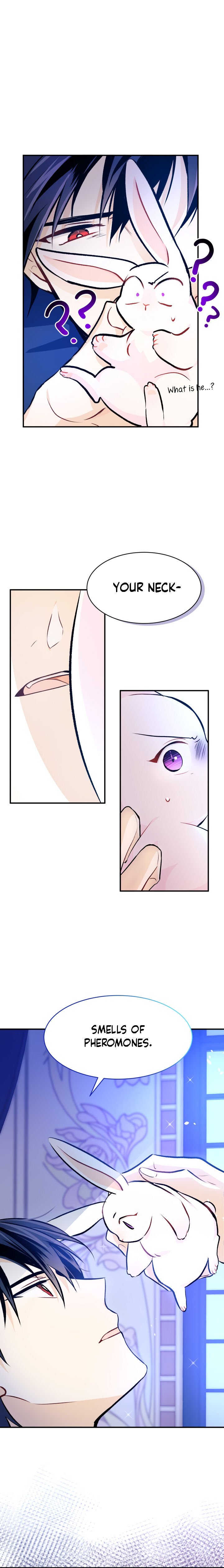 A Symbiotic Relationship Between A Rabbit And A Black Panther chapter 4 page 16