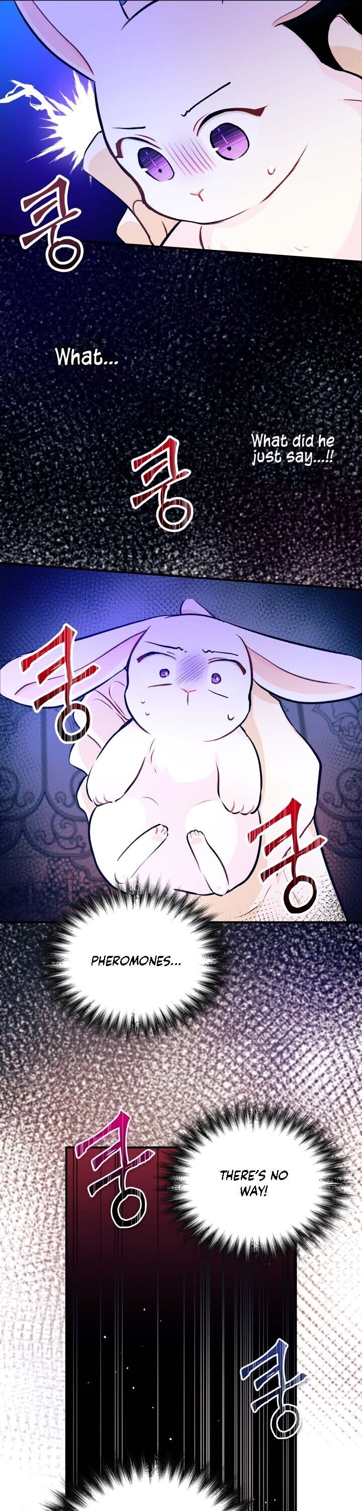 A Symbiotic Relationship Between A Rabbit And A Black Panther chapter 4 page 17