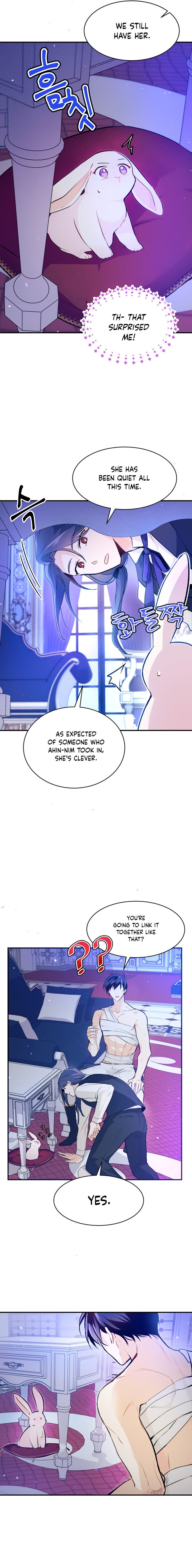 A Symbiotic Relationship Between A Rabbit And A Black Panther chapter 4 page 8