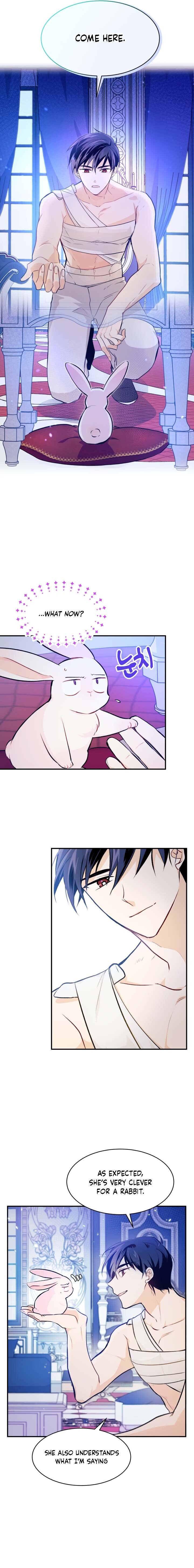 A Symbiotic Relationship Between A Rabbit And A Black Panther chapter 4 page 9