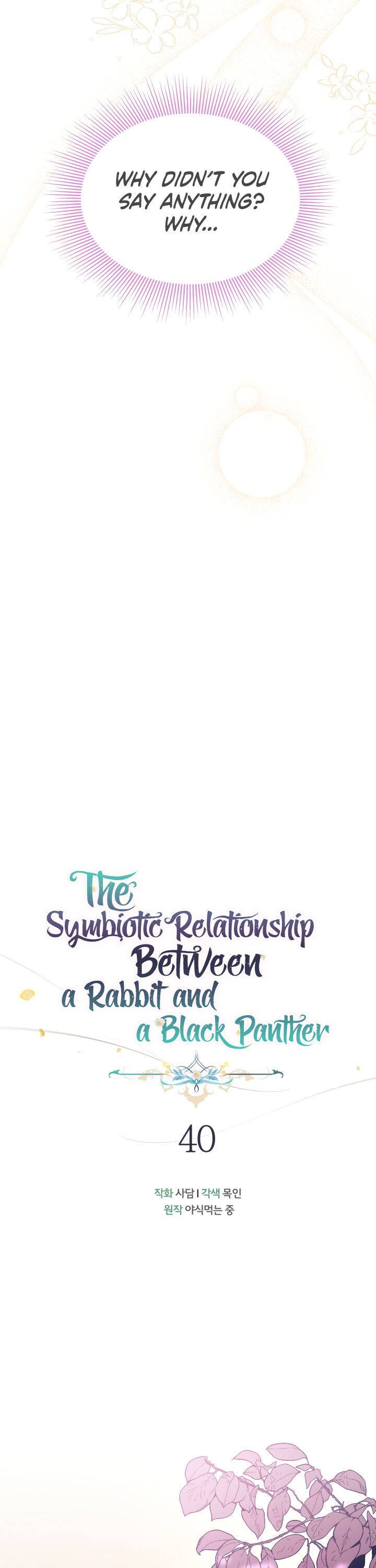 A Symbiotic Relationship Between A Rabbit And A Black Panther chapter 40 page 12