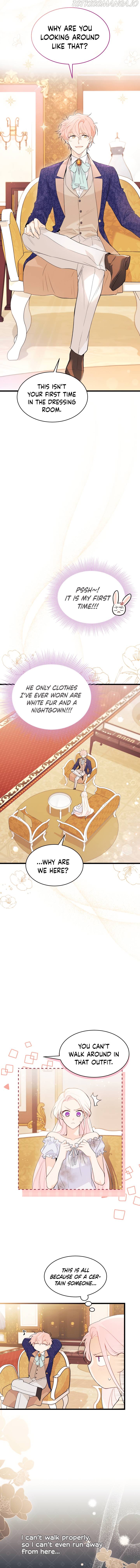 A Symbiotic Relationship Between A Rabbit And A Black Panther chapter 42 page 11