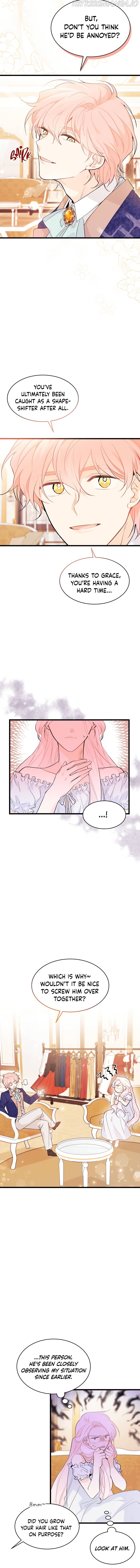 A Symbiotic Relationship Between A Rabbit And A Black Panther chapter 42 page 14