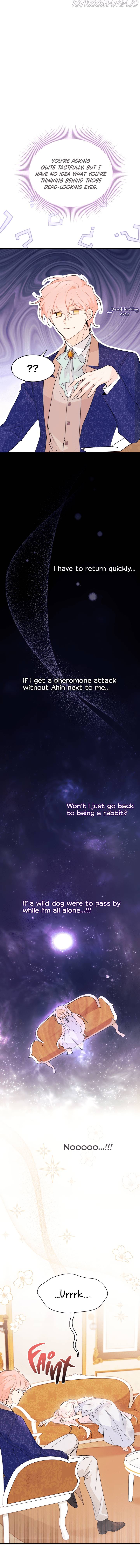 A Symbiotic Relationship Between A Rabbit And A Black Panther chapter 42 page 15