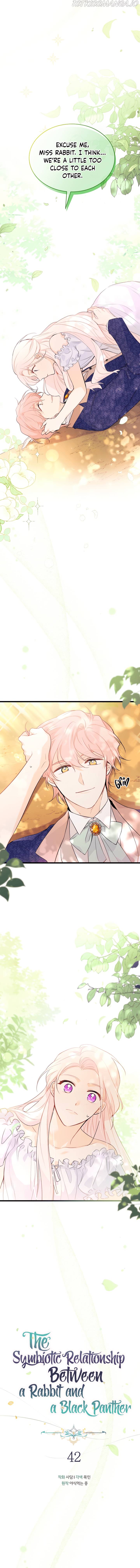 A Symbiotic Relationship Between A Rabbit And A Black Panther chapter 42 page 2