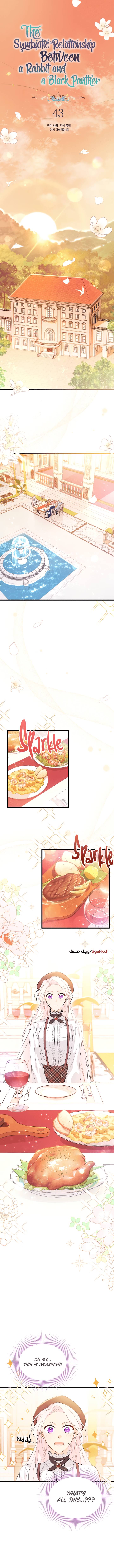 A Symbiotic Relationship Between A Rabbit And A Black Panther chapter 43 page 1