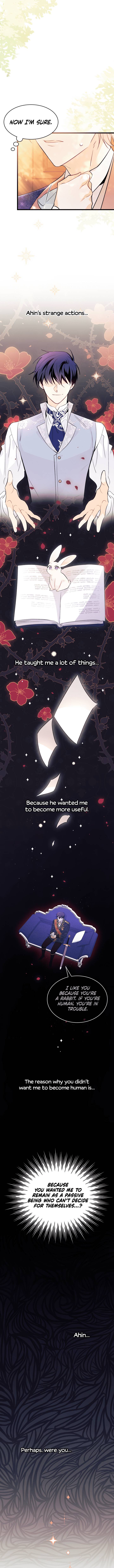 A Symbiotic Relationship Between A Rabbit And A Black Panther chapter 43 page 10