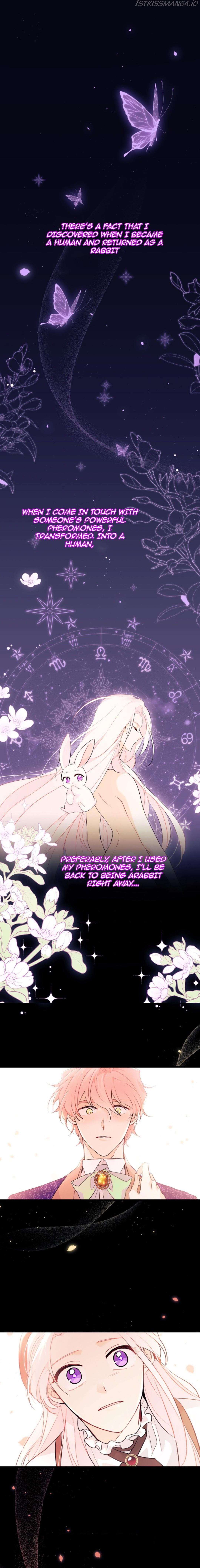 A Symbiotic Relationship Between A Rabbit And A Black Panther chapter 44 page 1