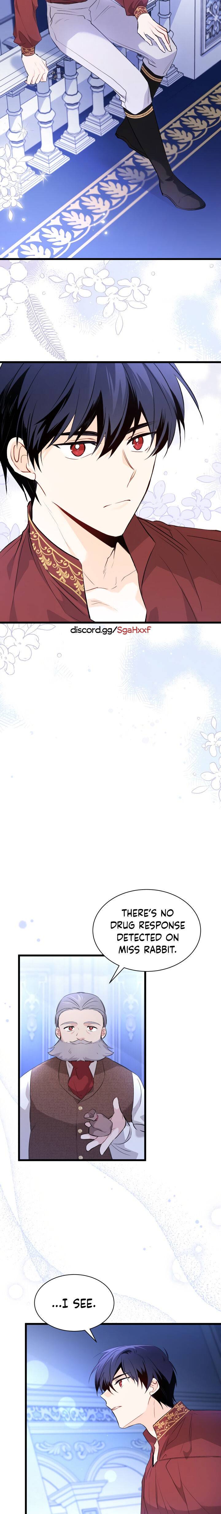 A Symbiotic Relationship Between A Rabbit And A Black Panther chapter 45 page 17