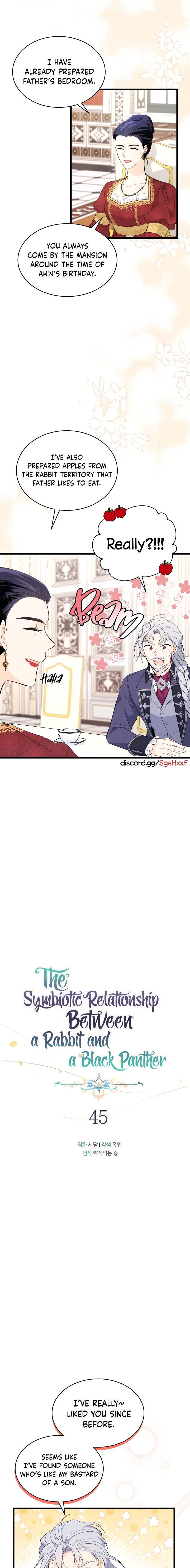 A Symbiotic Relationship Between A Rabbit And A Black Panther chapter 45 page 7