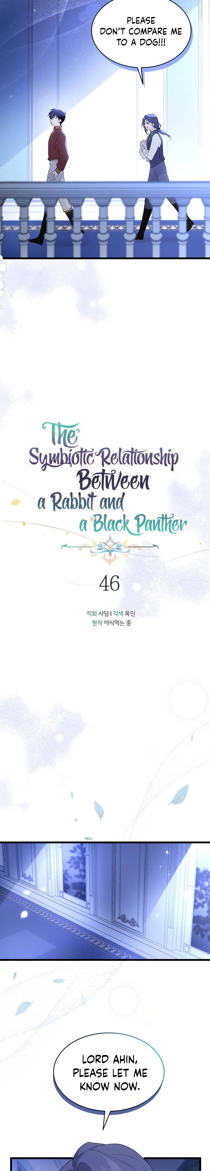 A Symbiotic Relationship Between A Rabbit And A Black Panther chapter 46 page 5