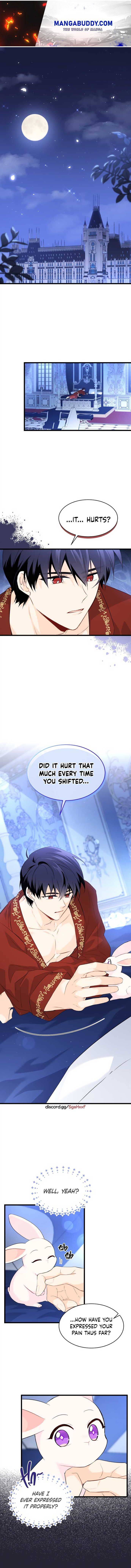 A Symbiotic Relationship Between A Rabbit And A Black Panther chapter 47 page 1