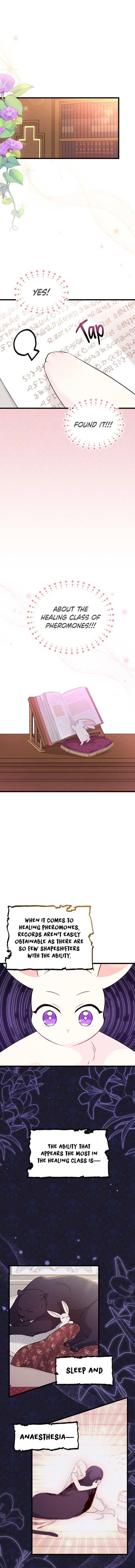 A Symbiotic Relationship Between A Rabbit And A Black Panther chapter 47 page 10