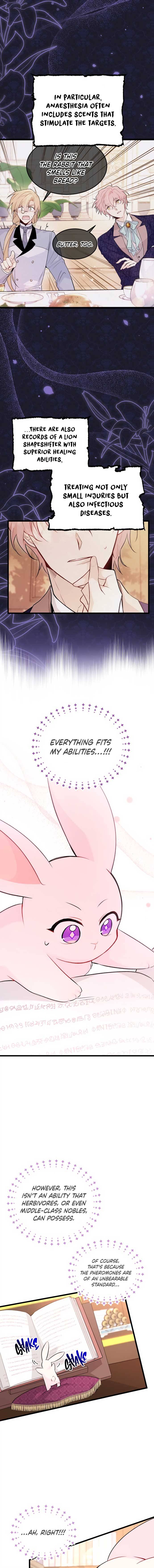 A Symbiotic Relationship Between A Rabbit And A Black Panther chapter 47 page 11