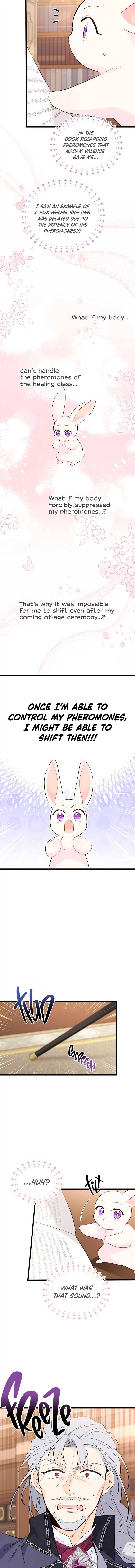 A Symbiotic Relationship Between A Rabbit And A Black Panther chapter 47 page 12