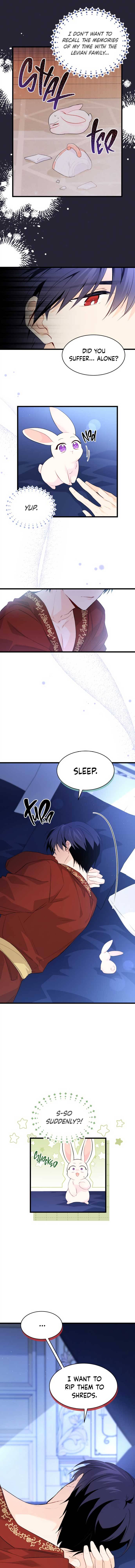 A Symbiotic Relationship Between A Rabbit And A Black Panther chapter 47 page 2