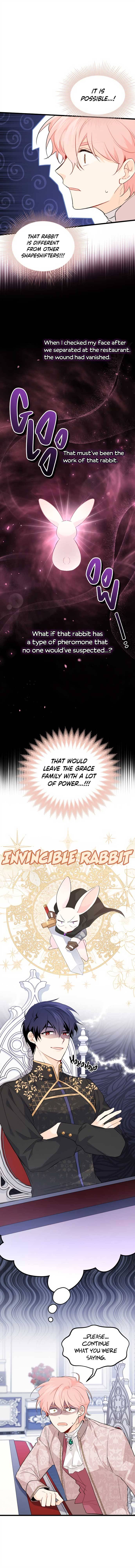 A Symbiotic Relationship Between A Rabbit And A Black Panther chapter 47 page 6