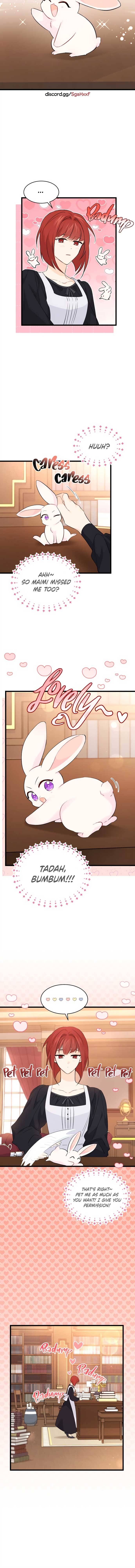 A Symbiotic Relationship Between A Rabbit And A Black Panther chapter 47 page 9