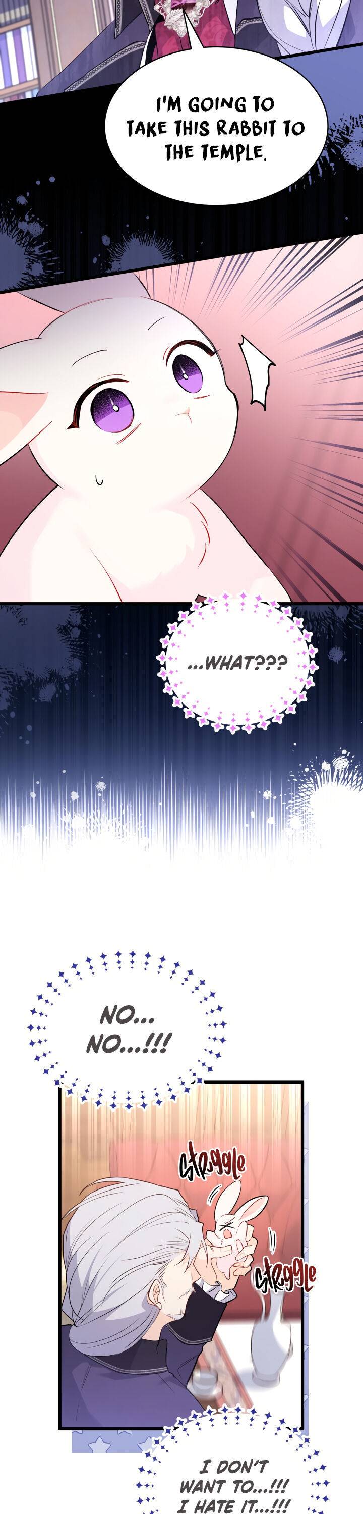 A Symbiotic Relationship Between A Rabbit And A Black Panther chapter 48 page 24