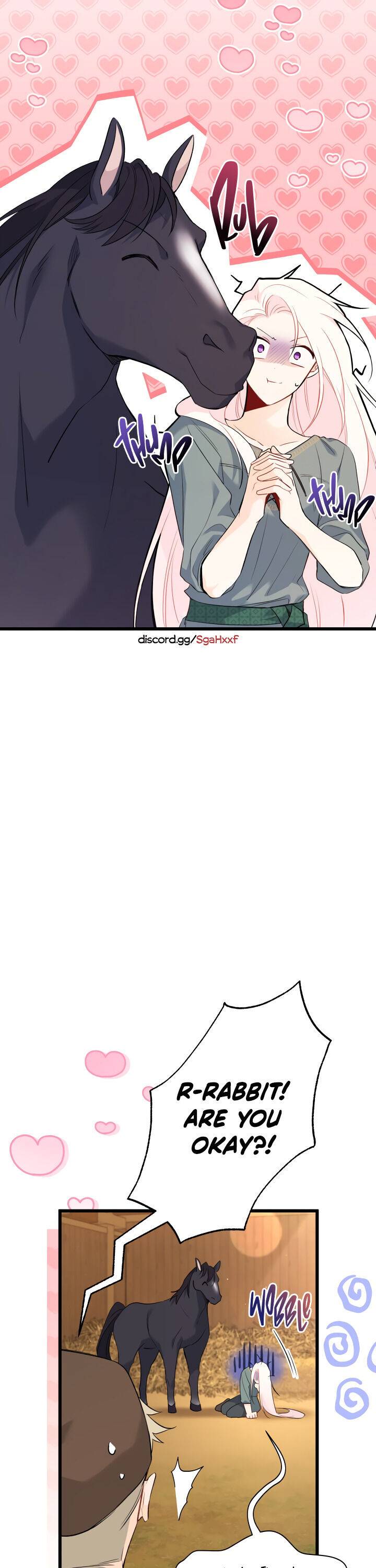 A Symbiotic Relationship Between A Rabbit And A Black Panther chapter 49 page 10