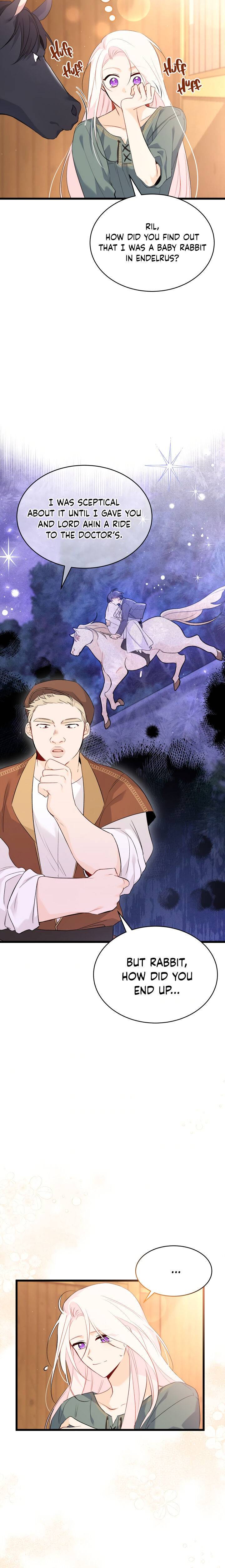 A Symbiotic Relationship Between A Rabbit And A Black Panther chapter 49 page 13