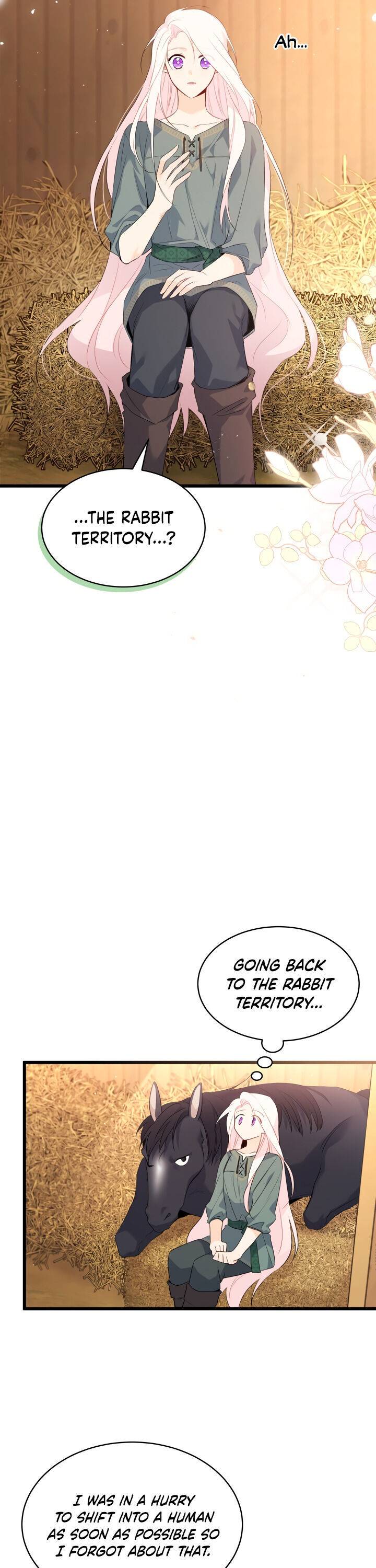 A Symbiotic Relationship Between A Rabbit And A Black Panther chapter 49 page 16